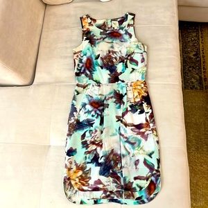 Sleeveless Anthro Mini Dress